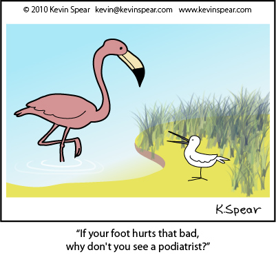 flamingo one foot